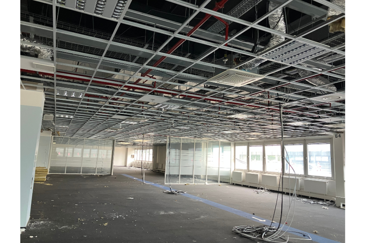 Ceiling tiles harvested as a part of the French Demonstrator, in Paris, France