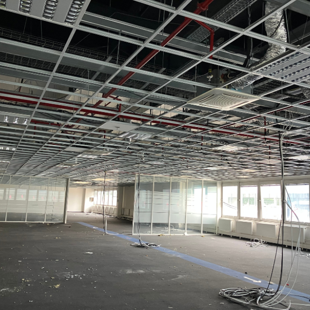 Ceiling tiles harvested as a part of the French Demonstrator, in Paris, France